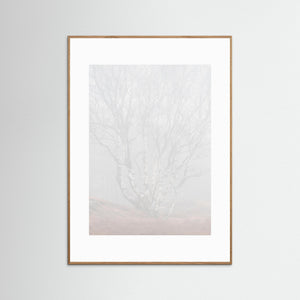 Dimma i Änggårdsbergen – Naturfoto från Göteborg | Fine Art Print