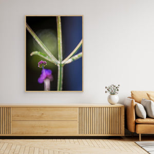 Blomma i motljus vid Fallebokvarn – Oskarshamn | Canvas