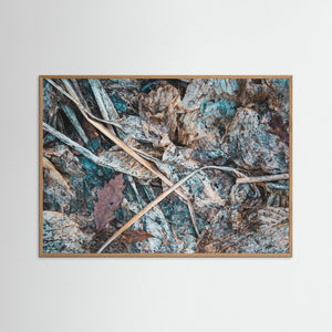 Göteborg – Naturens struktur vid Lilla Änggården | Fine Art Print