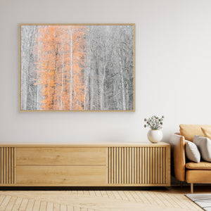 Höstens sista glöd - CANVAS