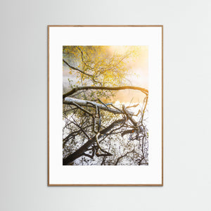 Höstmorgon vid Ståloppet – dimma och höstfärger vid Mölndalsån | Fine Art Print 