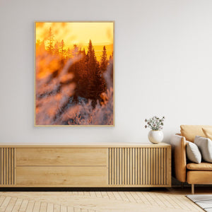 Lofsdalen – Gyllene morgonljus i Lofsdalsfjällen | Canvas