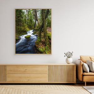 Vattenfall i Bråtaskogens naturreservat – Mölnlycke | Canvas