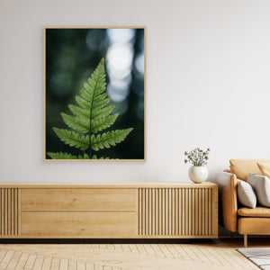 Ormbunke i Herkulesskogen - CANVAS