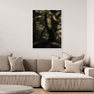 Bokskog i morgonljus – Gäddevik naturreservat | Canvas